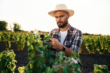 Quality control, with digital tablet. Farmer is on the agricultural field