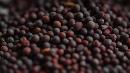 Close-up macro shot of Mustard seeds.