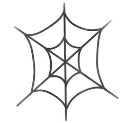 Spider web