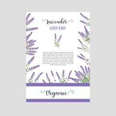 bras_pattern_outlined