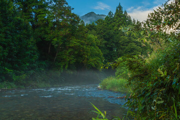 Obraz premium 薄霧の中、静かに流れる清流