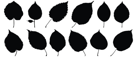 Leaf silhouette set vector design big pack of foliage illustration and icon