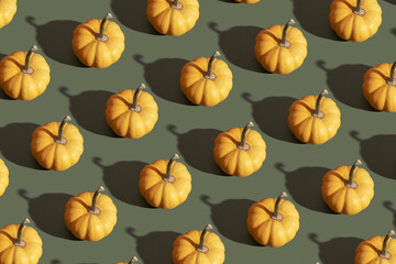 Orange pumpkin pattern on green background. Moderm backdrop for fall, thanksgiving day