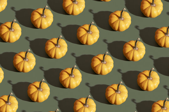 Orange pumpkin pattern on green background. Moderm backdrop for fall, thanksgiving day