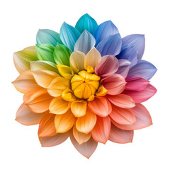 Fototapeta premium Kaleidoscope lotus flower with overlapping layers of bright multicolored petals isolated on a transparent background 