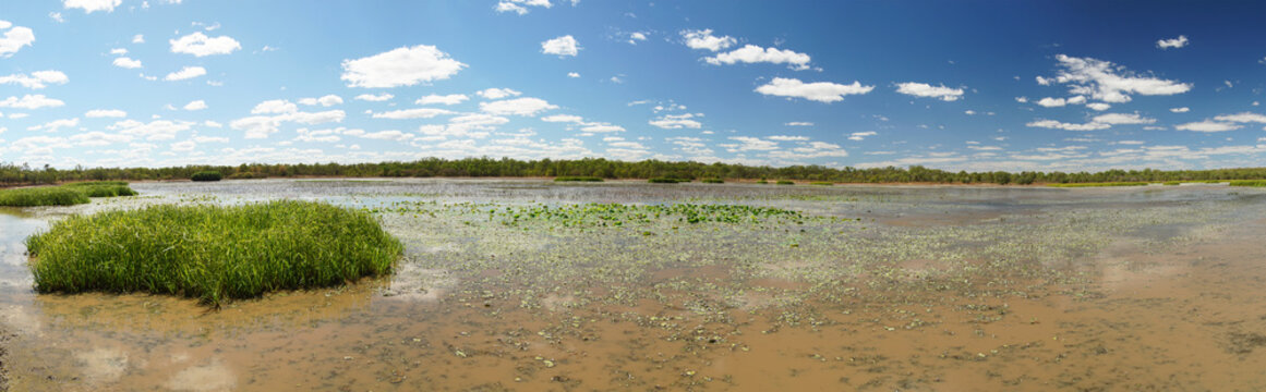 Billabong im australischen Northern Territory
