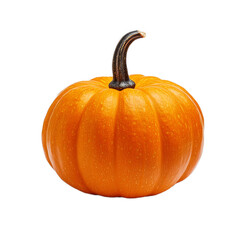 Vibrant orange pumpkin with a twisted stem and textured skin isolated on a transparent background 