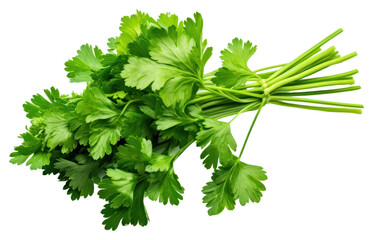 PNG Parsley plant herbs ingredient.
