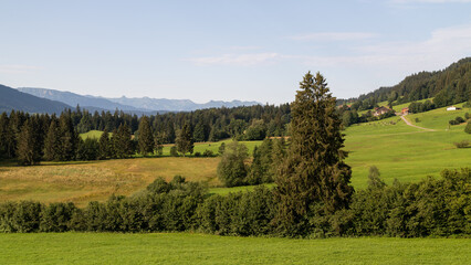 Fototapeta premium View in the Allgäu in the German Alps