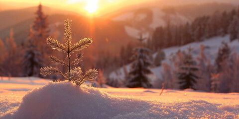 Beautiful winter landscape at sunset with snow and fog with sunset background 