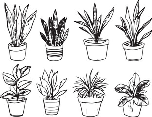 Set plants. Hand drawn vector illustration	