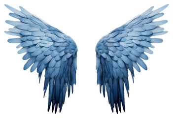 Fototapeta premium PNG Bird feather flying animal.