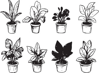 Set plants. Hand drawn vector illustration	