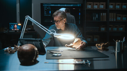Mature archaeologist measures and studies fossil bones remains under lamp, uses tablet computer....