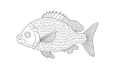 Flat hand draw sketch fish  silhouette illustration art vector