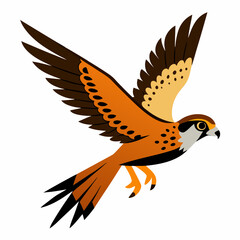  American Kestrel bird in flight movement vector art illustration
