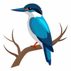 Belted  Kingfisher bird perched in a dead tree vector art illustration