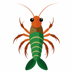 Mantis Shrimp vector art illustration