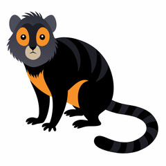  Cute Marmoset  vector art illustration