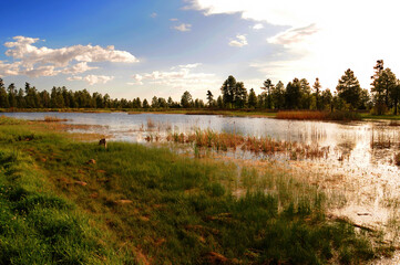 Lake of the Woods Arizona