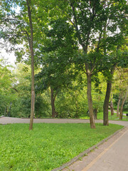 Summer city park, sidewalks around, green trees, grass, nature