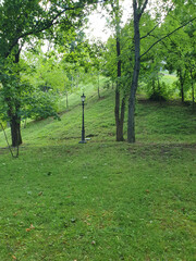 Obraz premium Hilly green lawn in city park, lush green grass, trees, nature