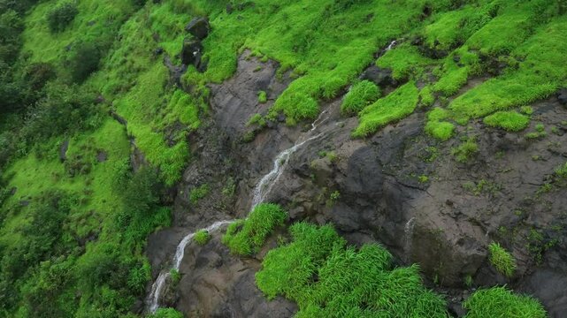 waterfall & green grass on the rocks