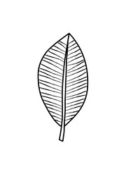 Aesthetic Tropical Leaves