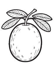 Illustration Coloring draw fruit plum black and white version good for kids