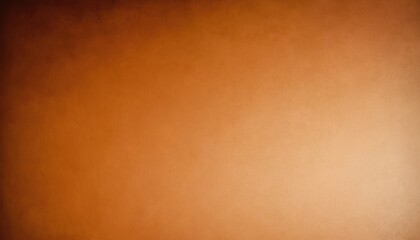 Background studio portrait backdrops brown canvas background on the wall and on the floor with a soft transition. 65