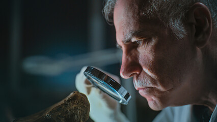 Senior archaeologist studies remains of prehistoric extinct animal or human using magnifying glass....