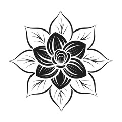 black and white flower