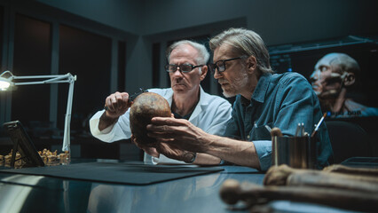 Two archaeologists measures skull of prehistoric extinct human, conduct historical and scientific...