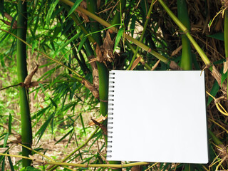 Notebook with leaves in the garden for copy space