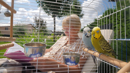 A woman sits and reads a book while two budgerigars perch inside their cage, creating a peaceful...