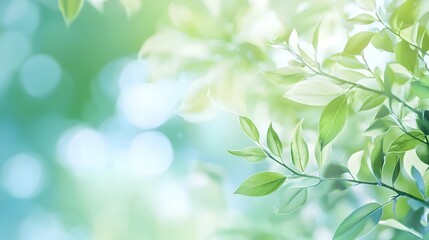 Calming Blurred Nature Background with Soft Green and Blue Tones