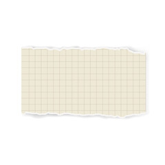 yellow checkered notebook sheet with torn edges, for scrapbooking, notes, stickers, decoration, background in vector.