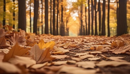 serene forest path covered in autumn leaves, with tall trees lining the way