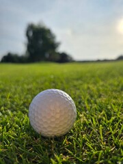 Close-up of a golf ball on grass with a blurred flagstick and green area in the background.