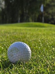 Close-up of a golf ball on grass with a blurred flagstick and green area in the background.