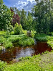Obraz premium A small stream flowing through lush vegetation in a park
