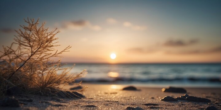 Undiscovered seaside landscape pristine and serene.