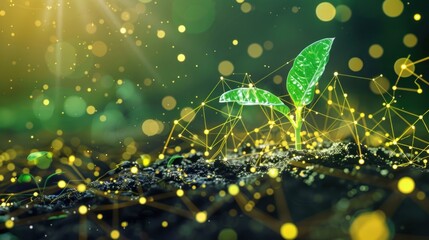 A Tiny Sprout Connected 