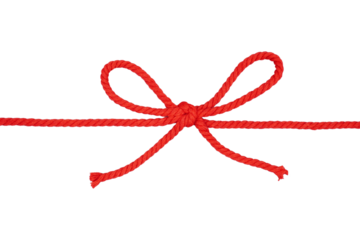 Knotted red rope isolated transparent