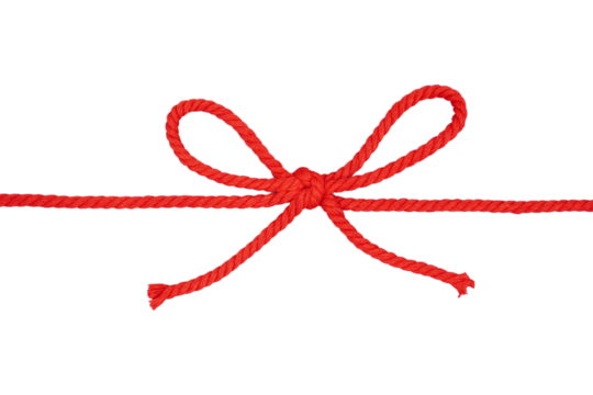 Knotted red rope isolated transparent