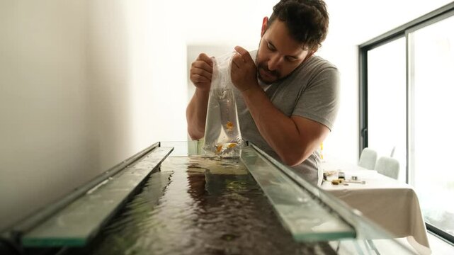Man carefully observes his new molly balloon fish to check if everything is ok before introducing them into the aquarium