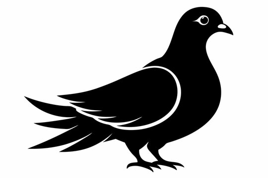 recommend clip art: Dove silhouette vector art, Bird icon illustration
