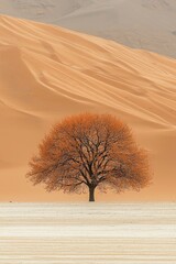 A solitary tree standing against a vast desert backdrop