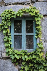 A window with vibrant green vines growing around it, contrasting against a weathered, grey stone wall. 