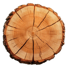 Fototapeta premium A close-up of a wooden tree stump showcasing natural rings and texture, ideal for eco-friendly designs and nature themes.